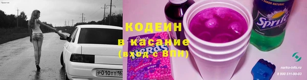 прущие грибы Наволоки