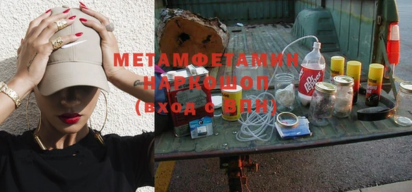 прущие грибы Наволоки