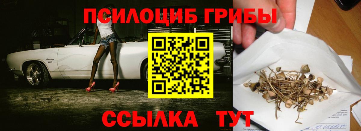 Галлюциногенные грибы MAGIC MUSHROOMS  Галлюциногенные грибы ЛСД  Вход с VPN  Куйбышев 
